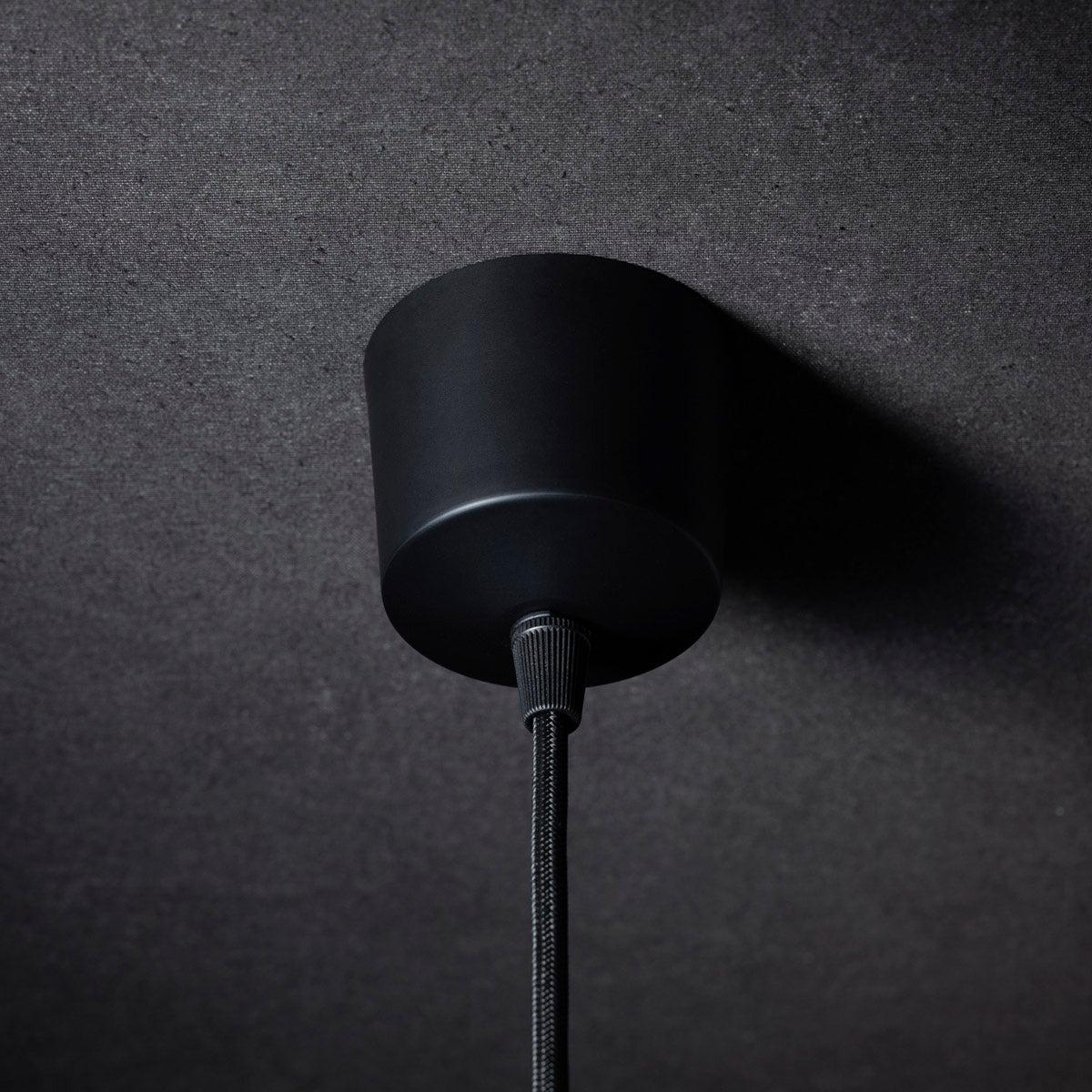 PWT-01 Pendant Light (引掛シーリング仕様）