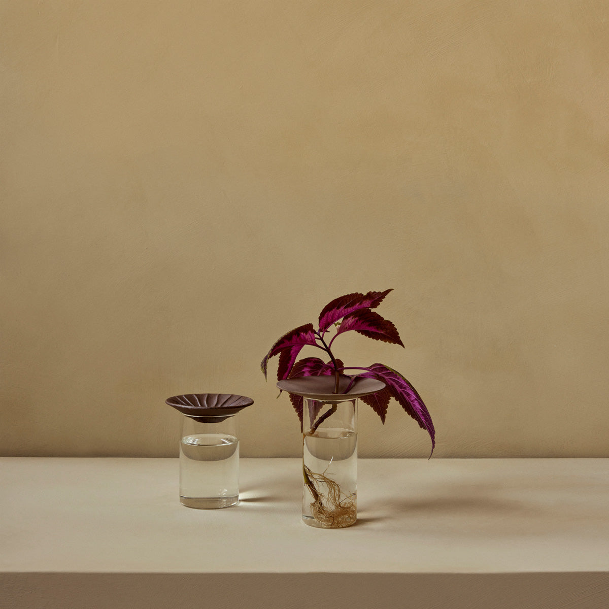 Audo Cresco Propagation Vase Set Of 2