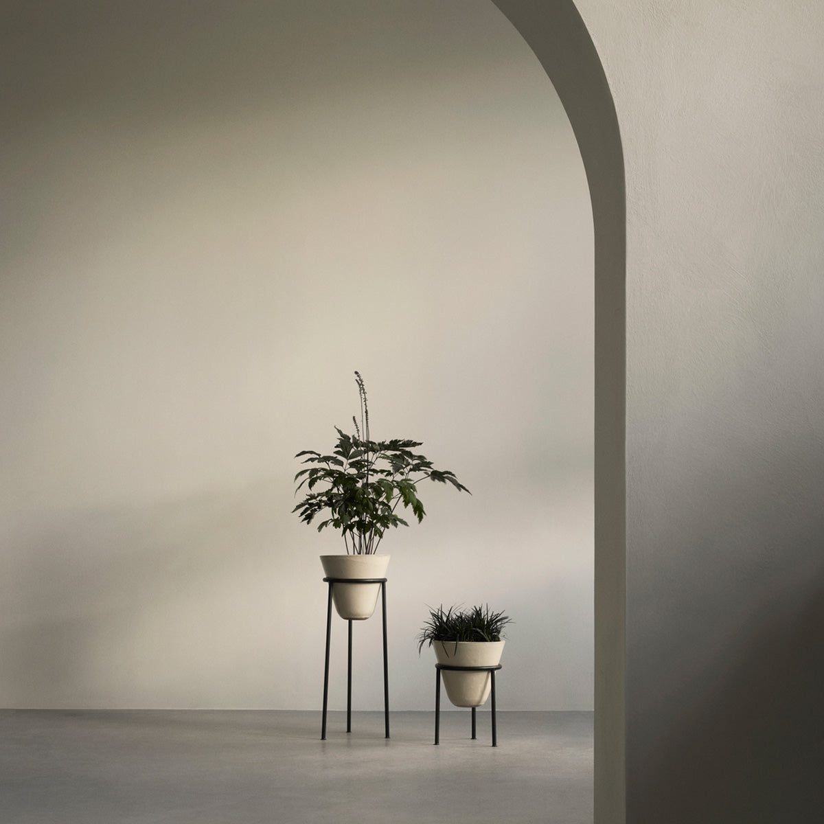 Audo Daiza Planters H35 φ25