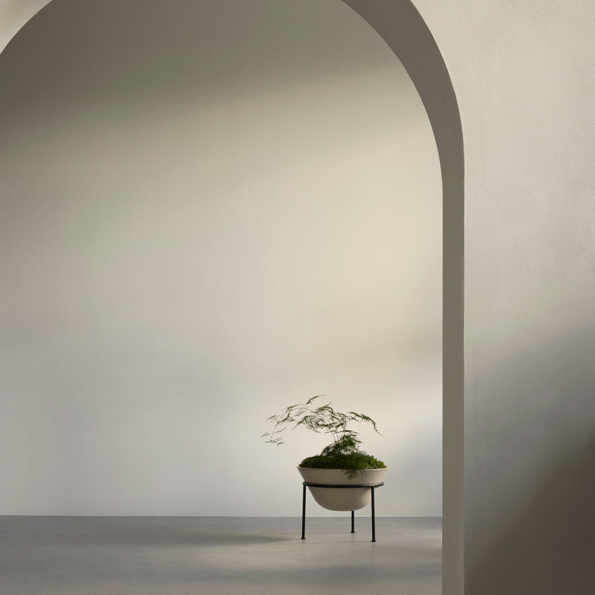 Audo Daiza Planters H35 φ48