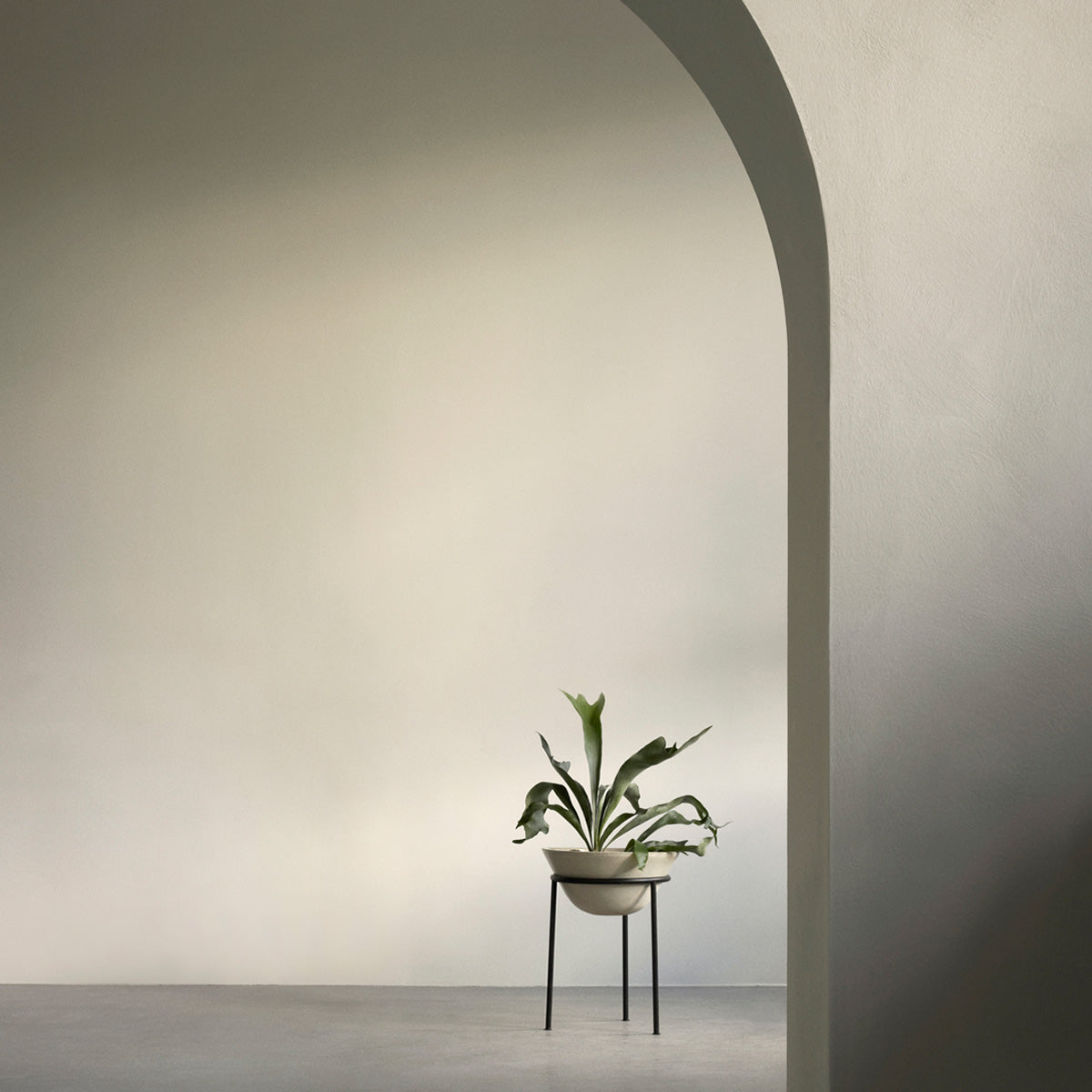 Audo Daiza Planters H45 φ35