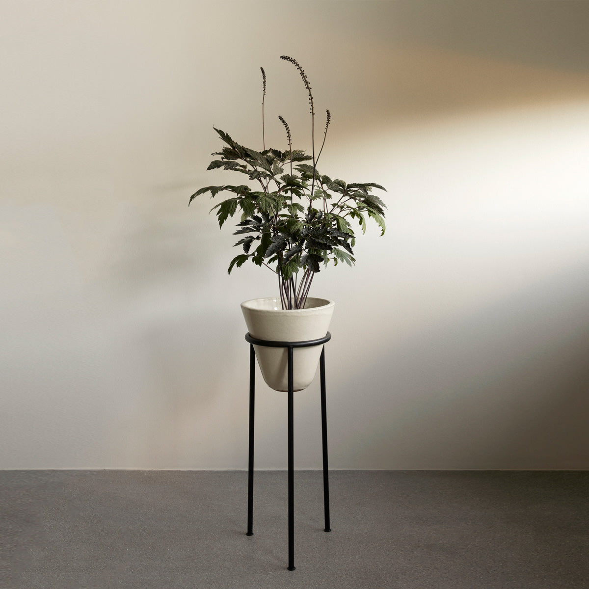 Audo Daiza Planters H65 φ25