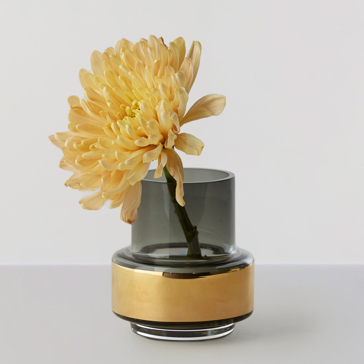RO Collection Hurricane No25 Flower Vase Smoke Grey x Gold