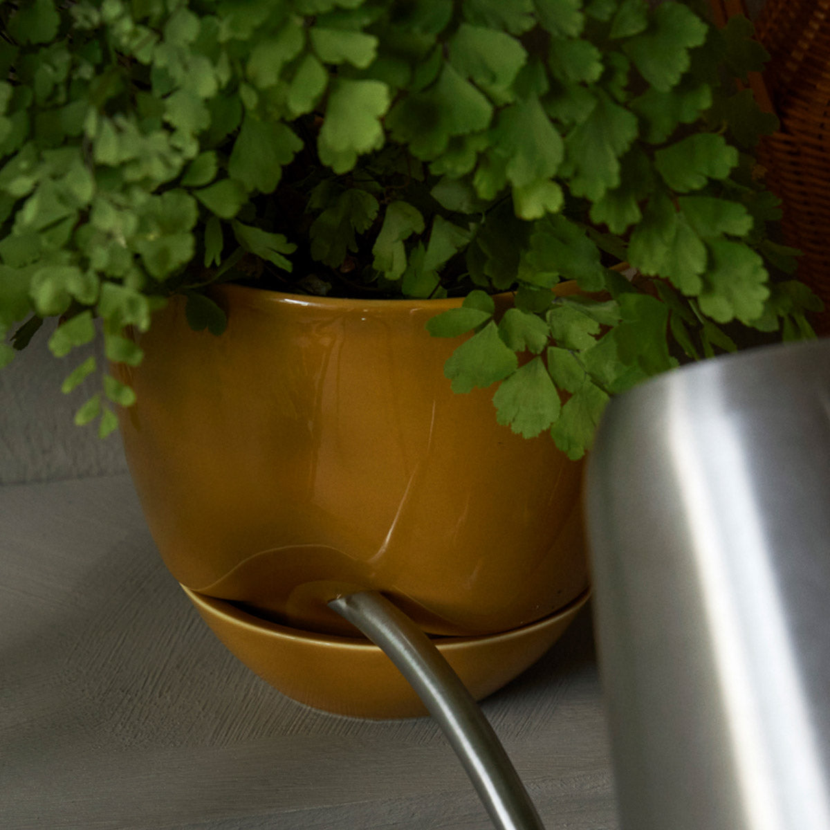 Audo Hydrous Planter φ12 Ashen