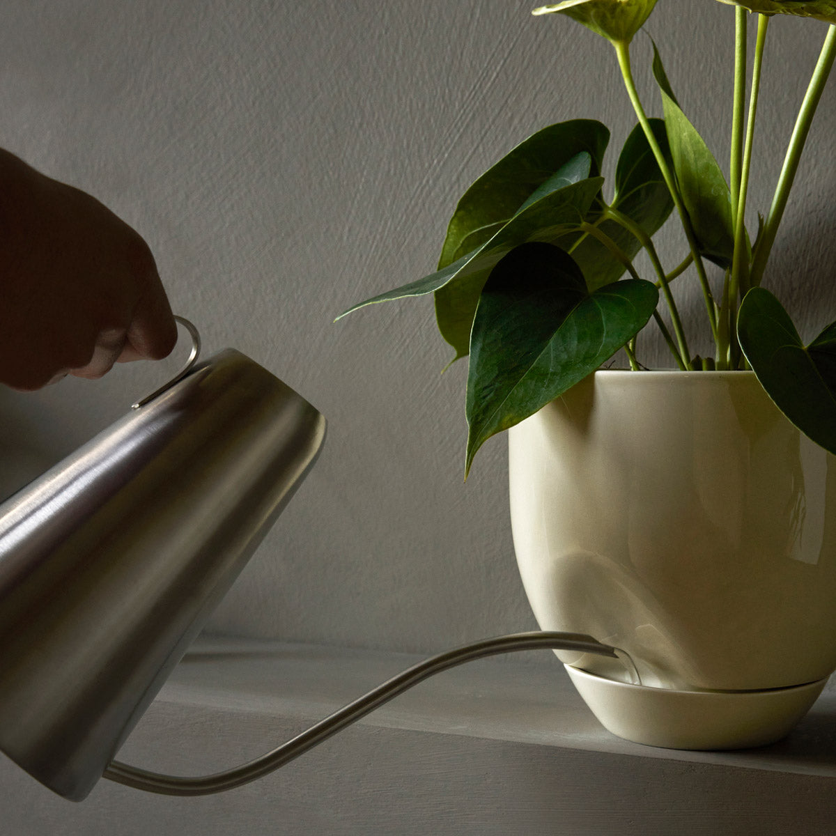 Audo Hydrous Planter φ12 Ashen