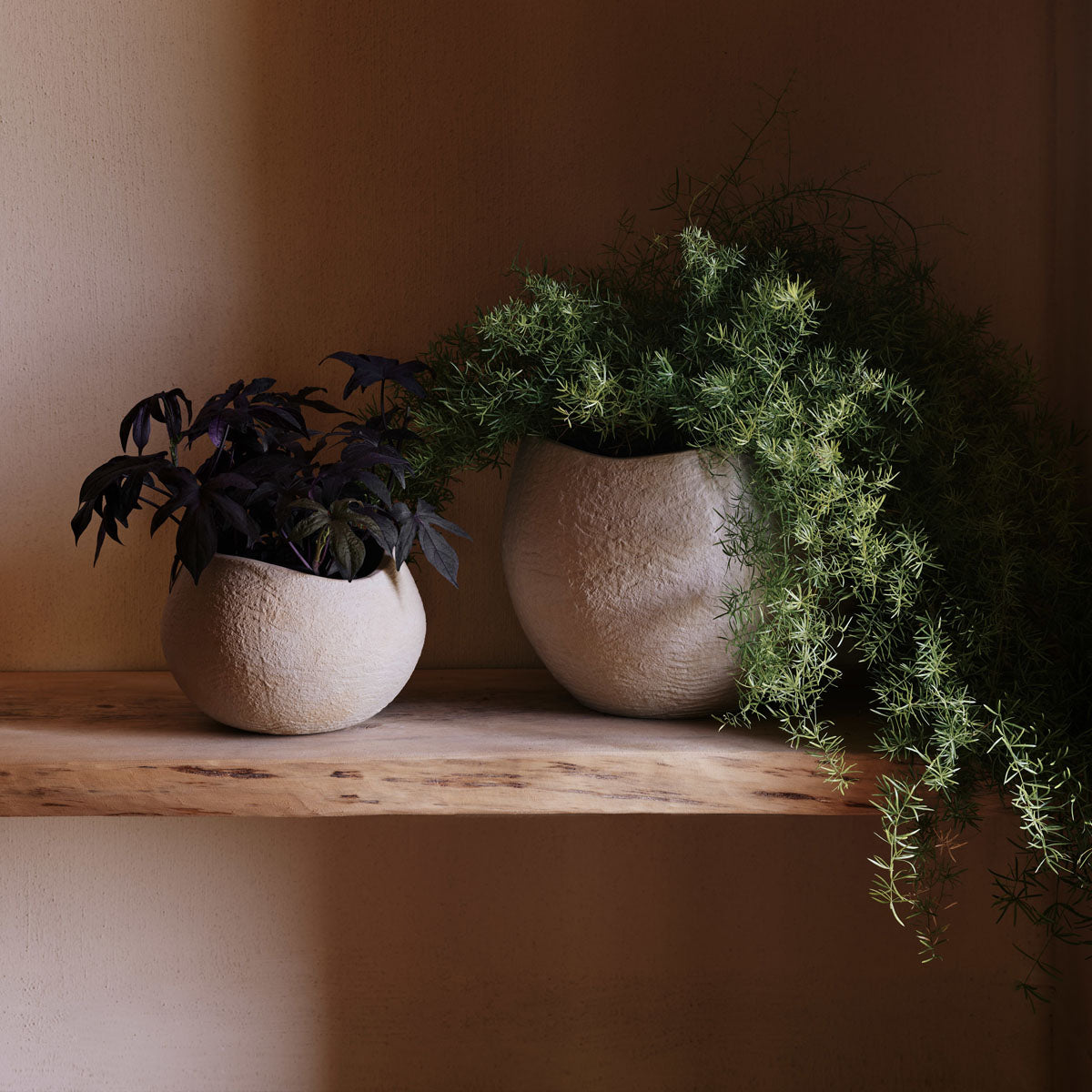 Audo Plantas Planters H17