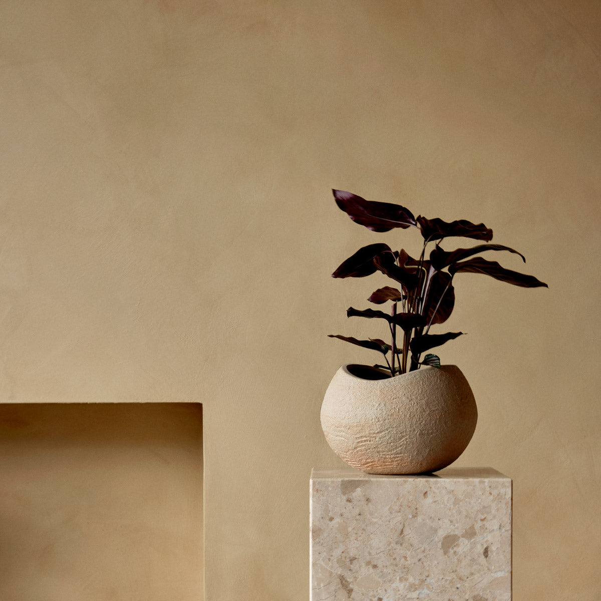 Audo Plantas Planters H17