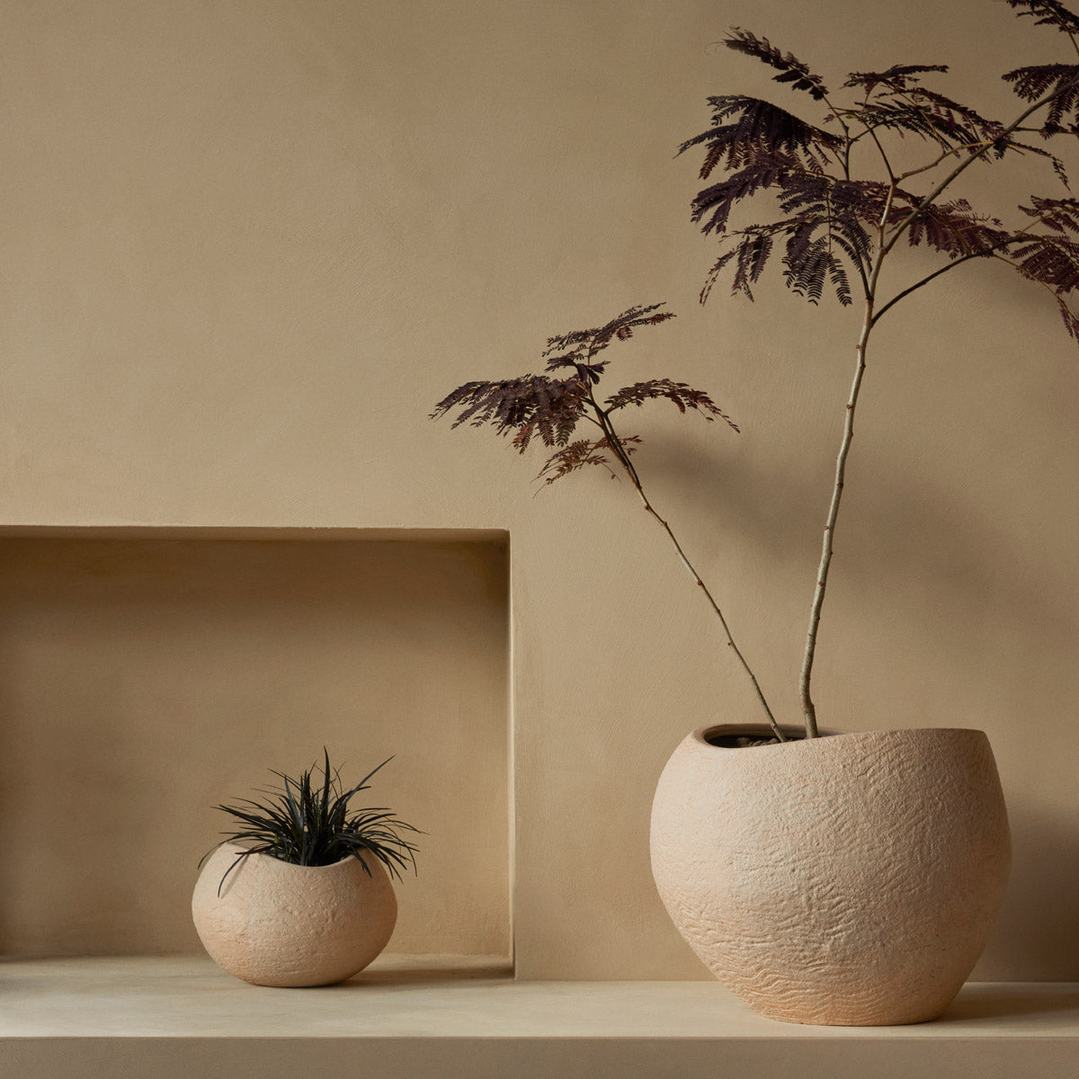 Audo Plantas Planters H17