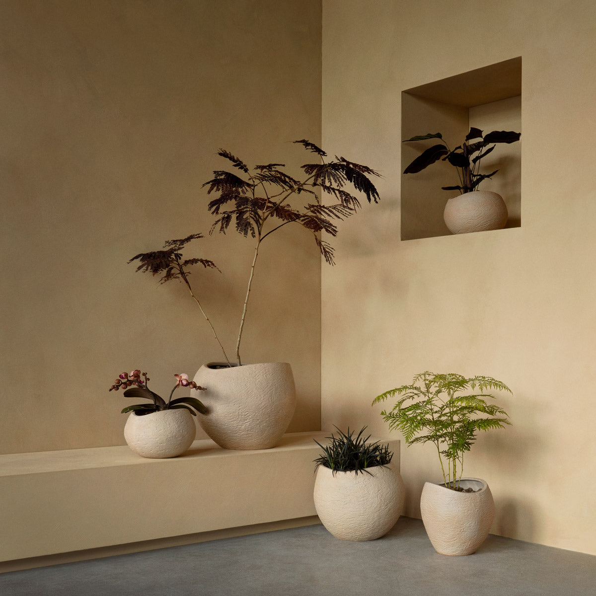 Audo Plantas Planters H17