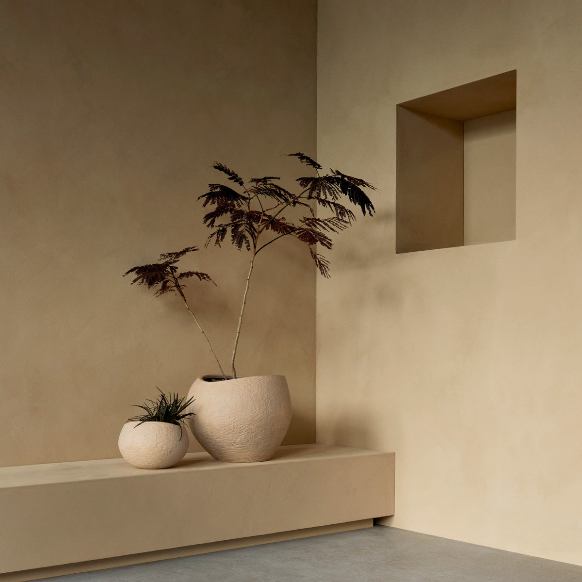 Audo Plantas Planters H17