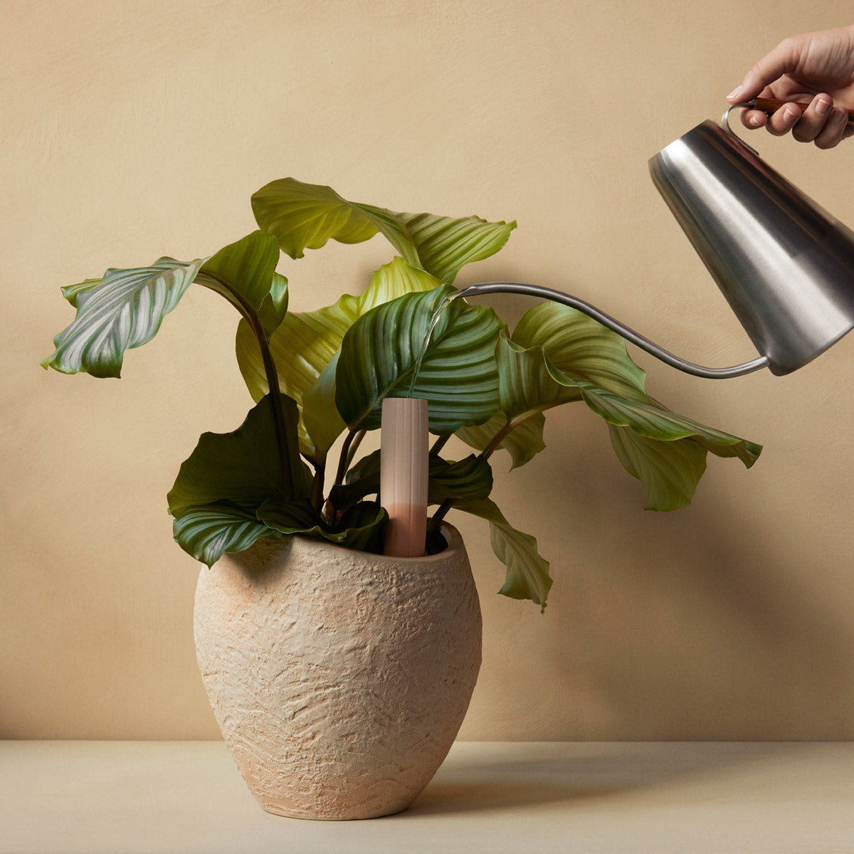 Audo Plantas Planters H17