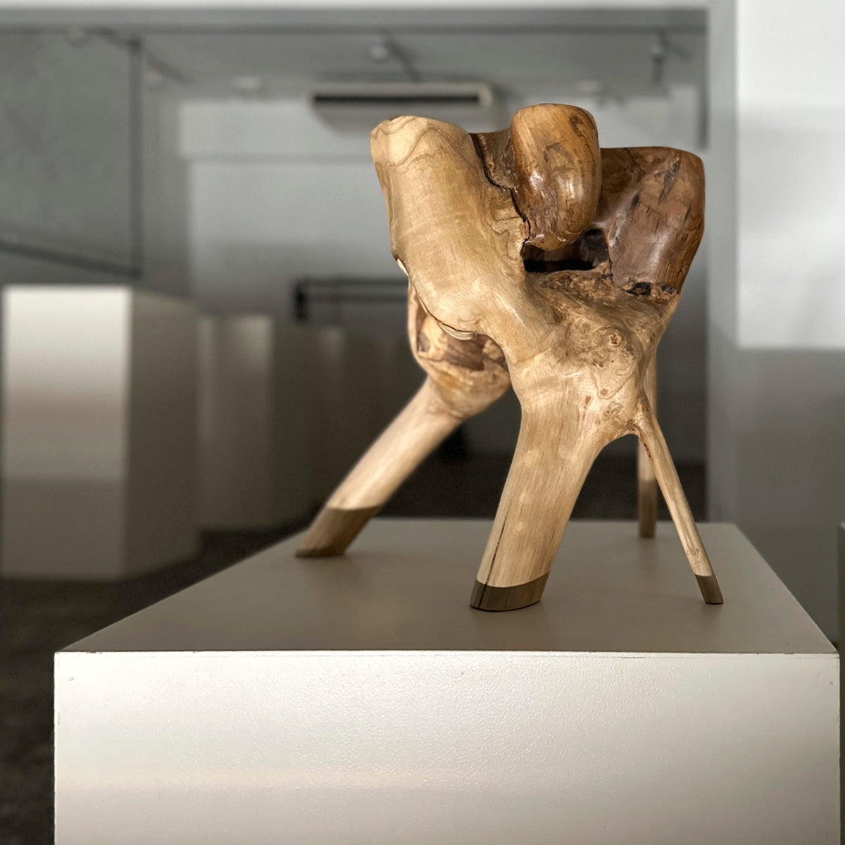 Root Stool #2025A チークルートスツール オブジェ 流木 – D9 STUDIO