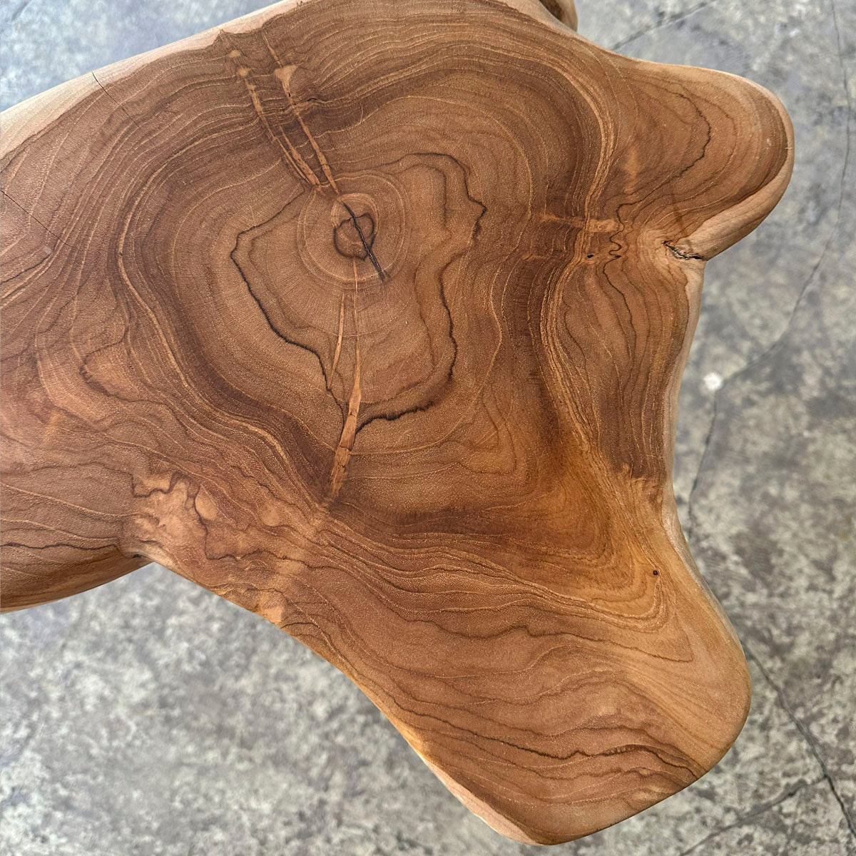 Root Stool #2025E チークルートスツール オブジェ 流木 – D9 STUDIO