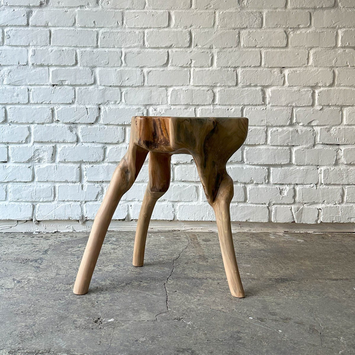 Root Stool #2025L