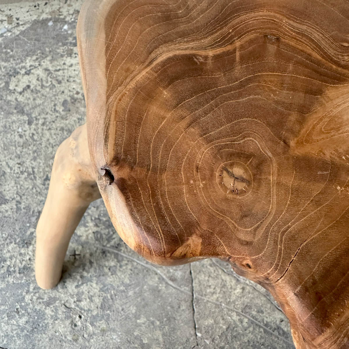 Root Stool #2025L チークルートスツール オブジェ 流木 – D9 STUDIO