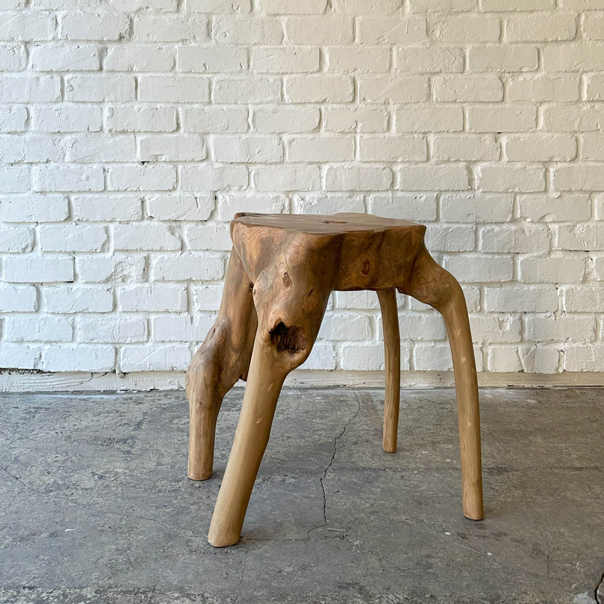 Root Stool #2025N