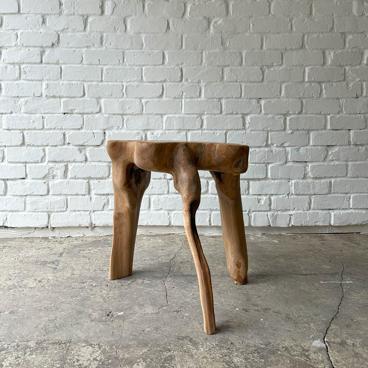 Root Stool #2025G