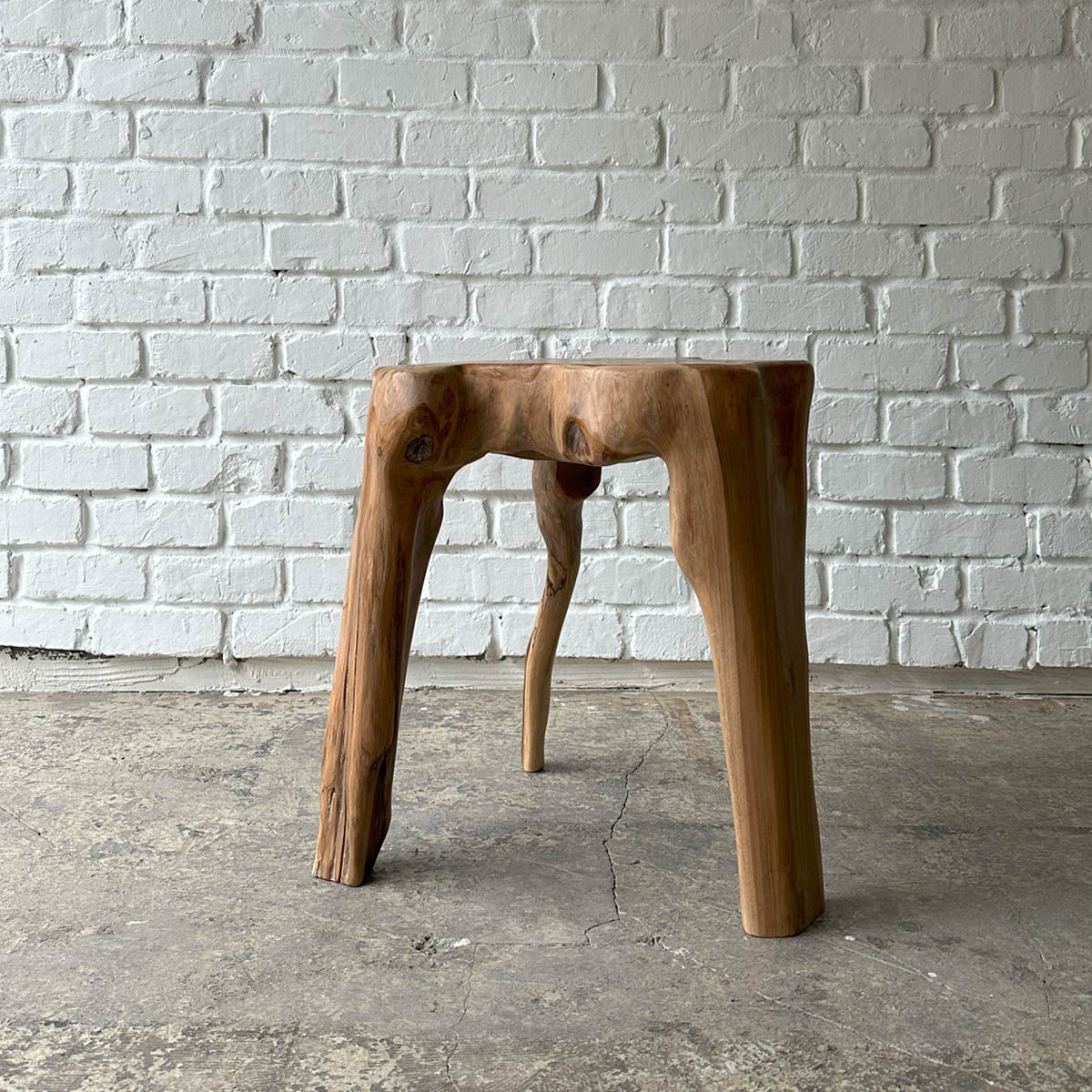 Root Stool #2025G