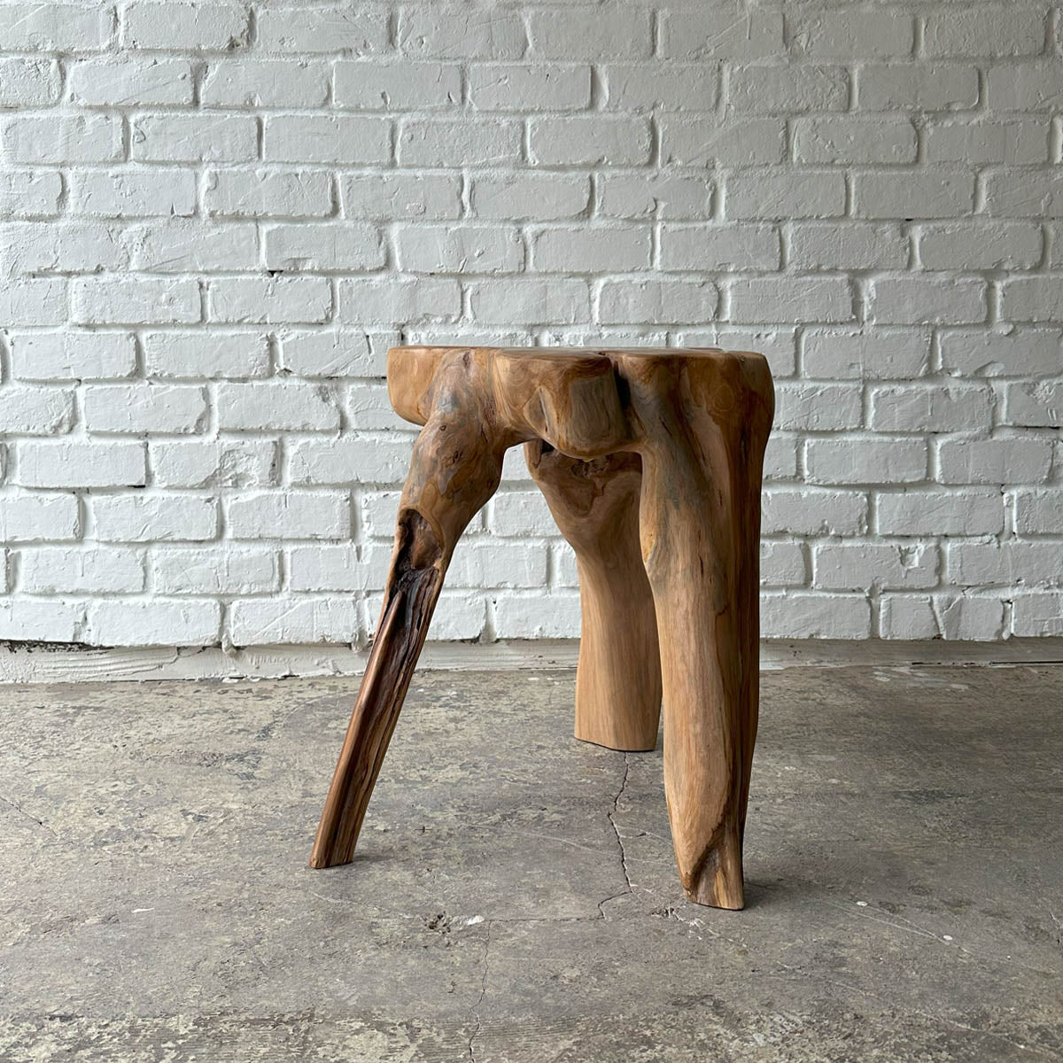 Root Stool #2025G