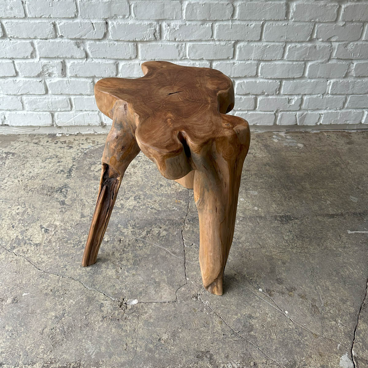 Root Stool #2025G