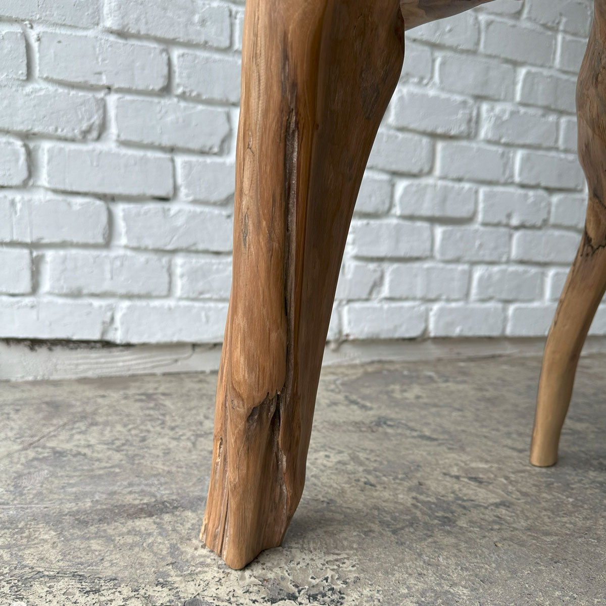 Root Stool #2025G