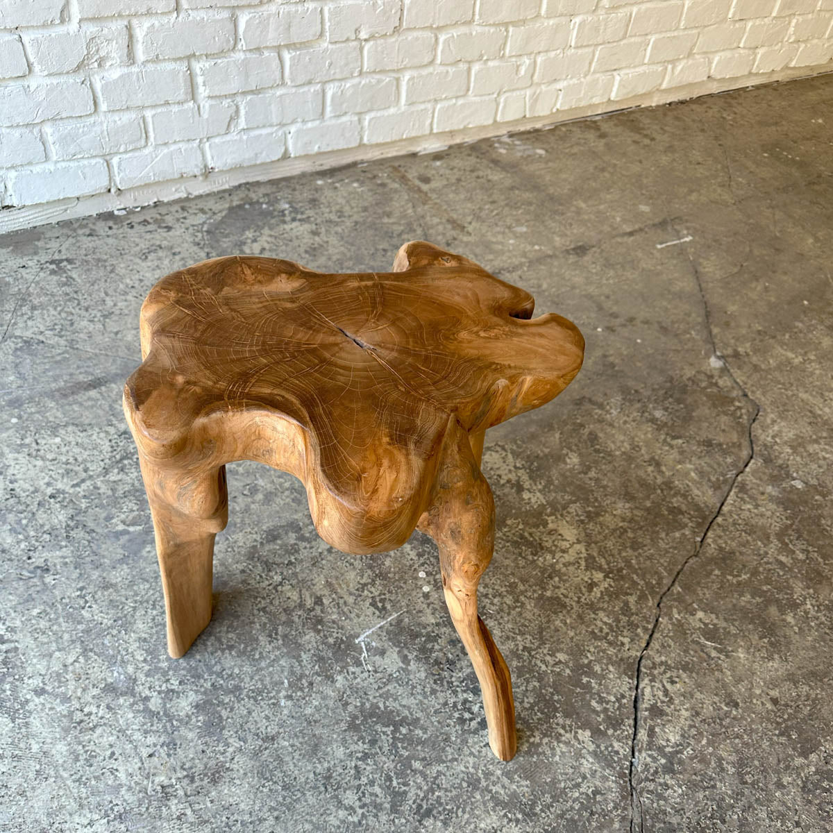 Root Stool #2025G