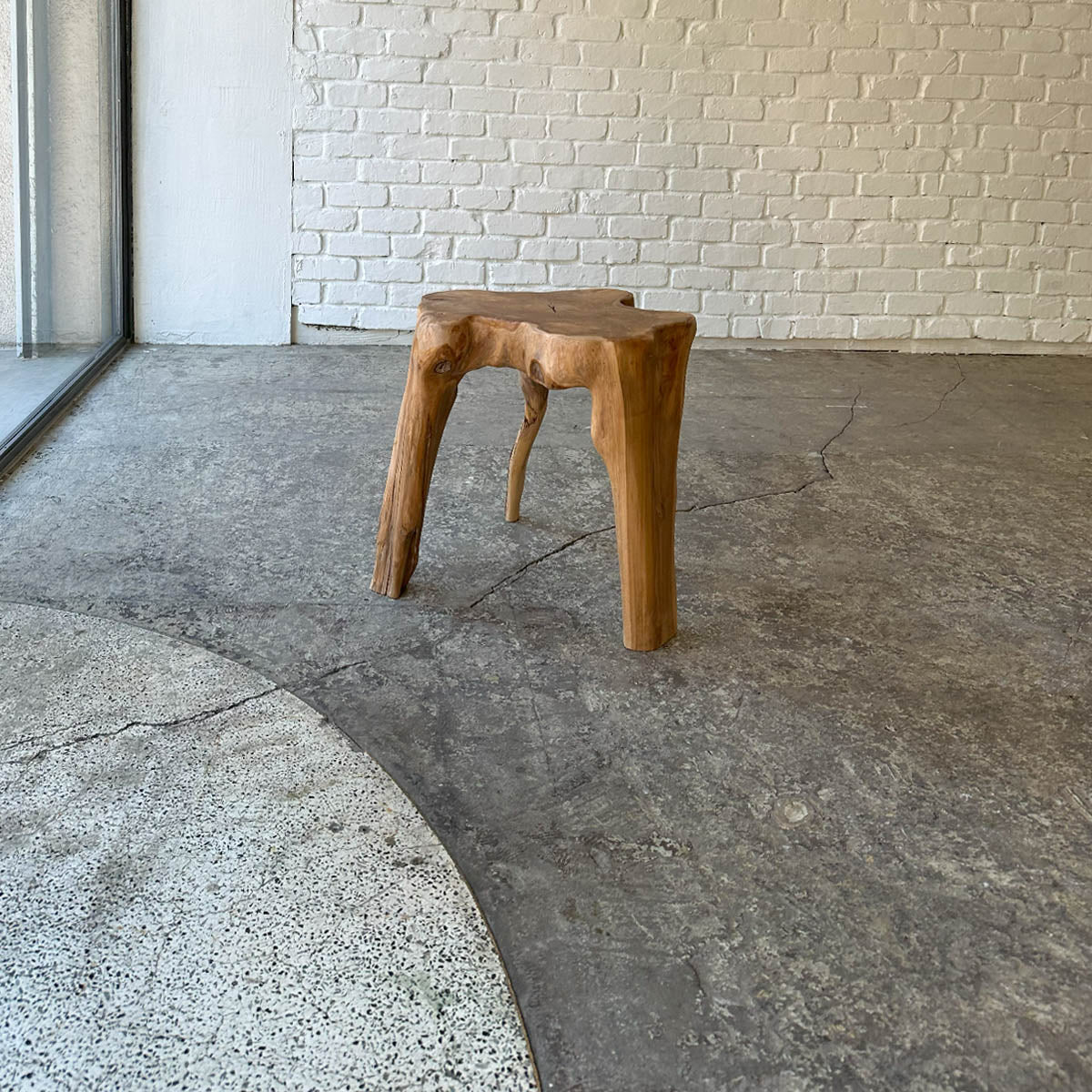 Root Stool #2025G