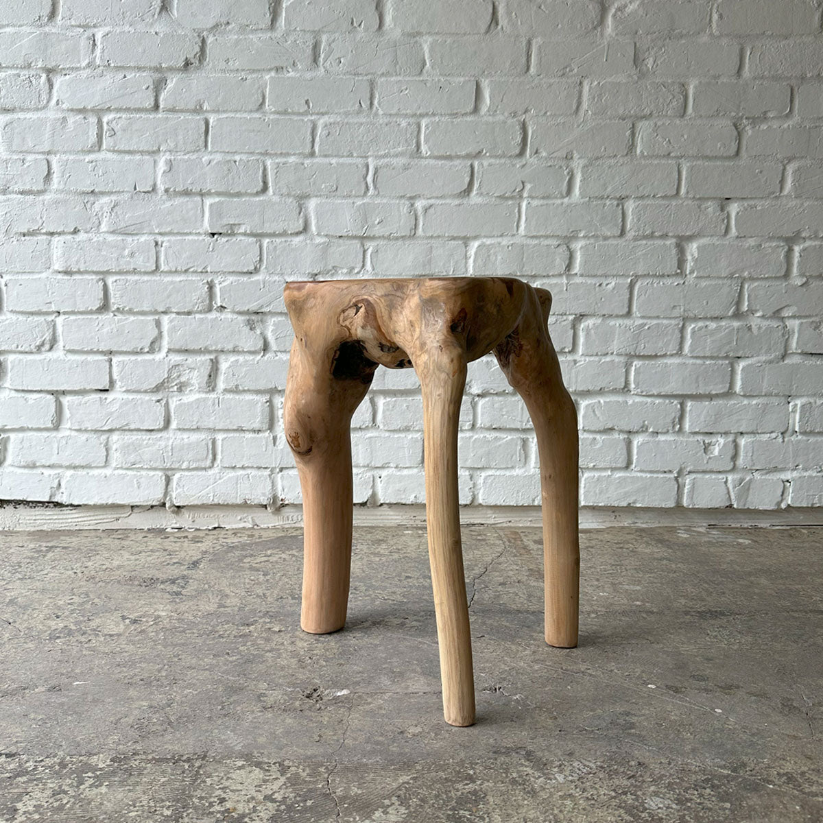Root Stool #2025H