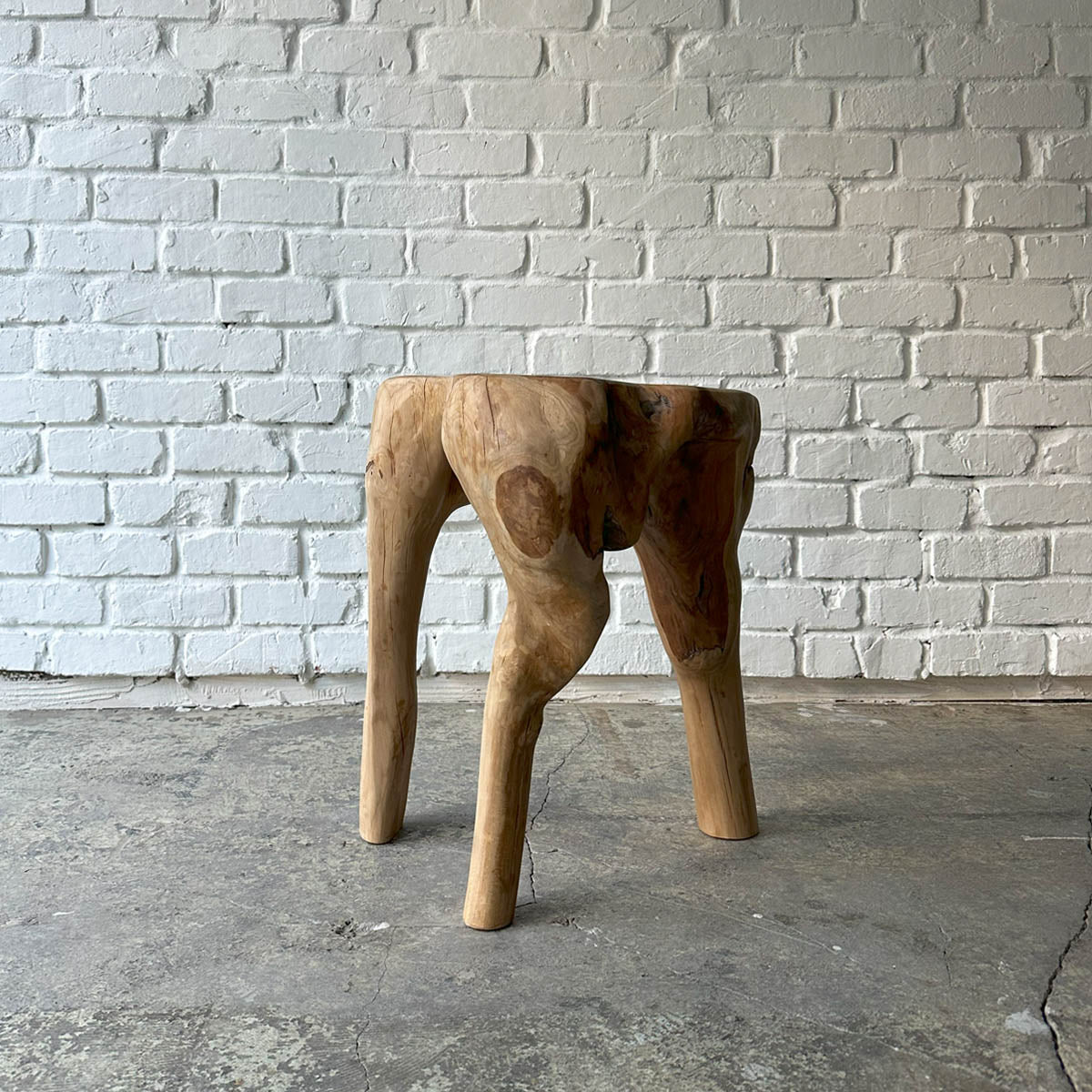 Root Stool #2025J