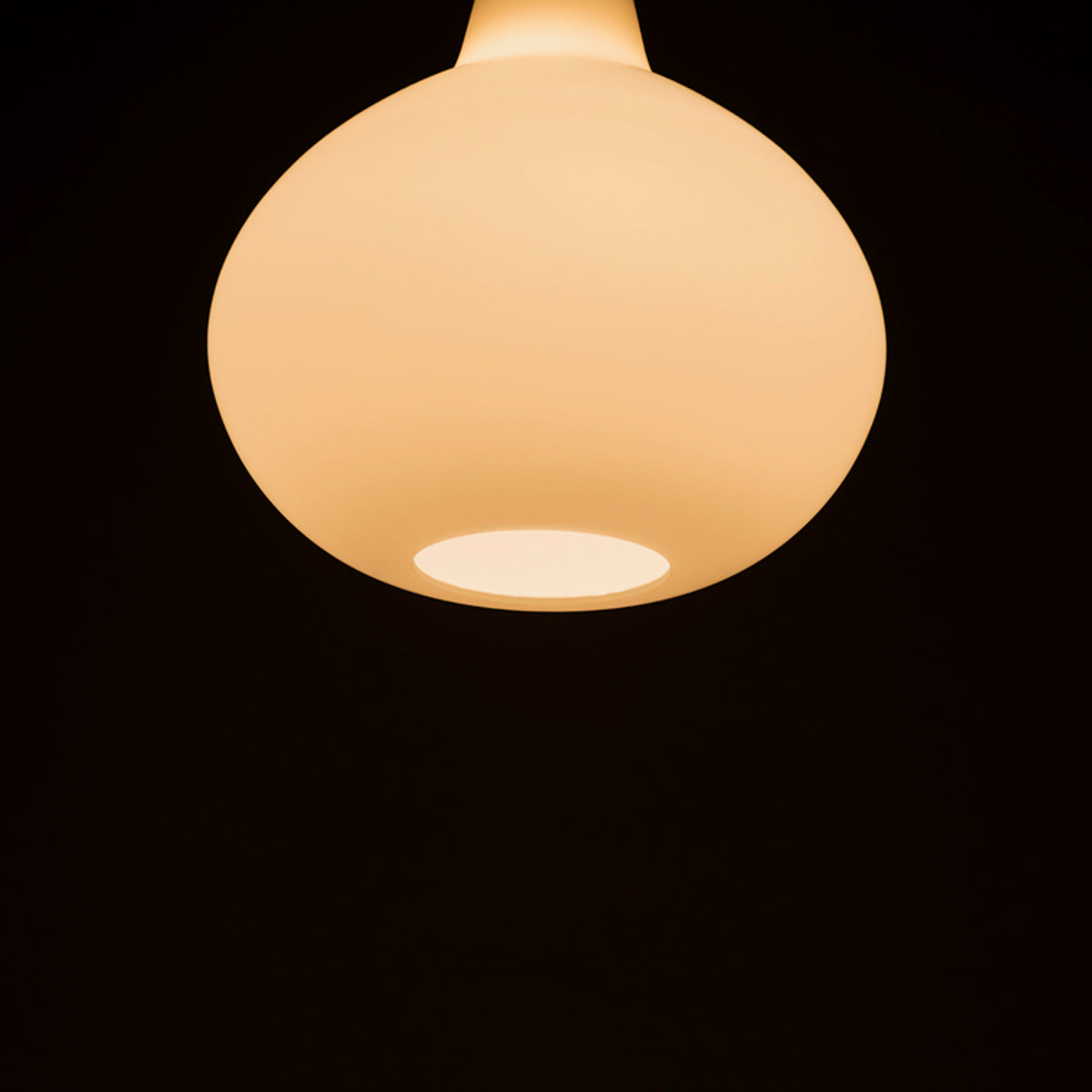 Innolux Bulbo Pendant Lamp