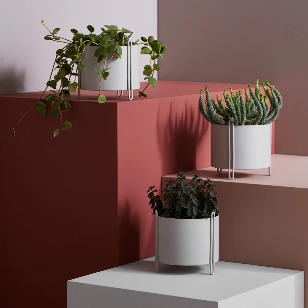 ウッド　Pedestal Planter Small Grey　WOUD WOUD