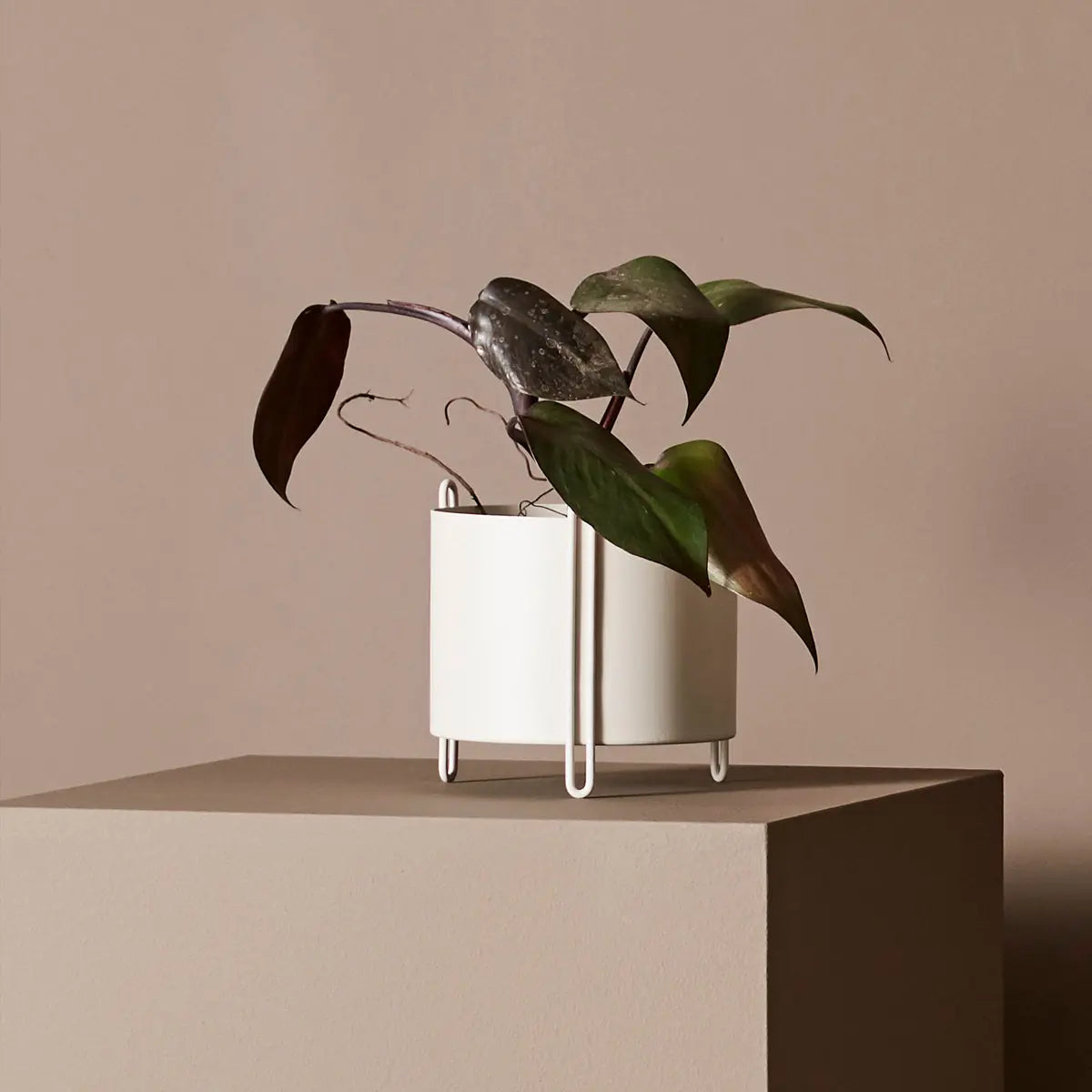 ウッド　Pedestal Planter Small Grey　WOUD WOUD